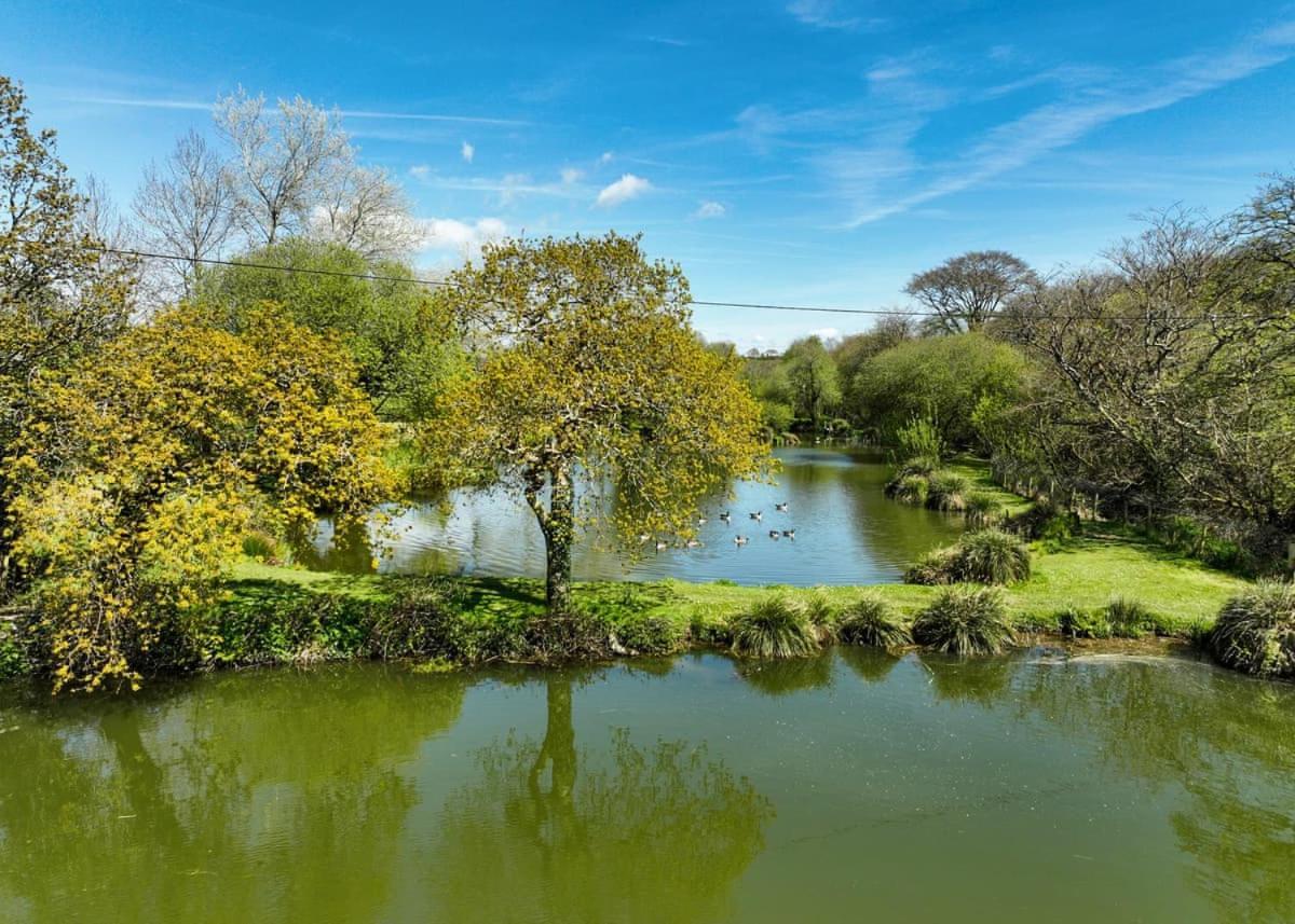 Meadow Lakes Holiday Park St Austell Ngoại thất bức ảnh
